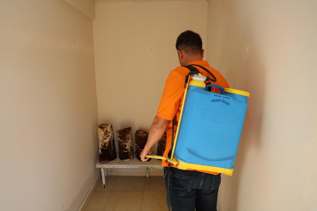 Kilosu 15 bin TL! Hükümlüler yüzde 70 i ithal edilen  Kırmızı Reishi  mantarını yetiştirdi: Faydaları saymakla bitmiyor... 7