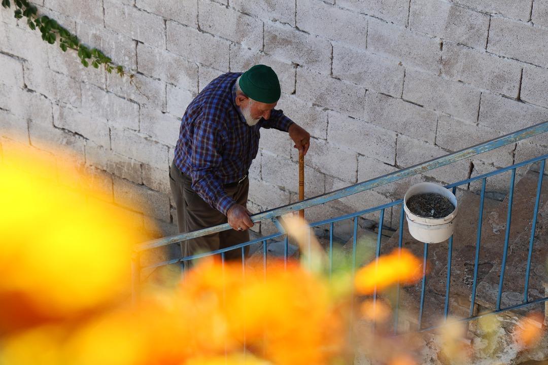 95 yaşındaki Mahmut dede sağlıklı ve uzun yaşamın sırlarını paylaştı: Doğal beslenmenin faydalarını açıkladı... 7