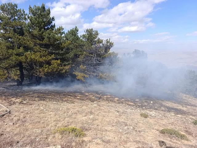 Konya da orman yangını kontrol altında 2