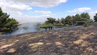 Konya'da orman yangını kontrol altında