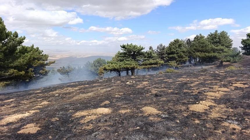 Konya'da orman yangını kontrol altında
