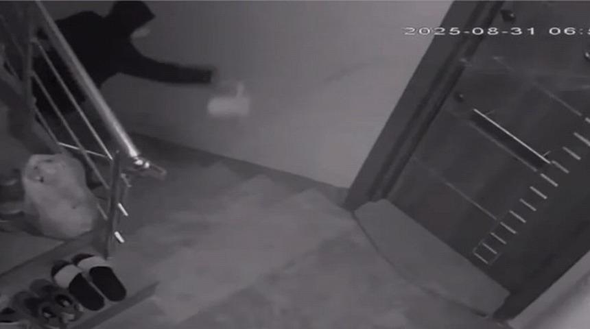 Komşularını canından bezdirdi! Kapısına hayvan dışkısı bırakıp, evin kapısına yağ döktü: '3 senedir eziyet çekiyoruz her gün'