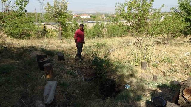 Malatya’da kayısı bahçesinde obruk oluştu