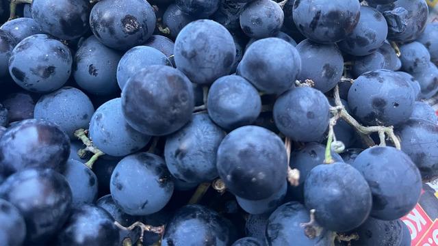 Alaşehir'in üzümleri Tavşanlı semt pazarında