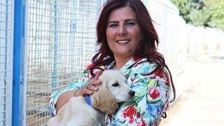 Büyükşehir’den sokak hayvanları için 244 bin metrekarelik yaşam alanı