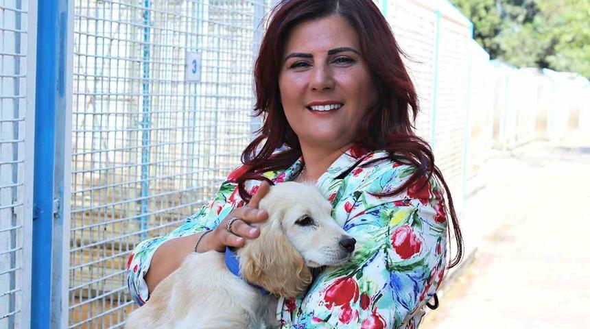 Büyükşehir’den sokak hayvanları için 244 bin metrekarelik yaşam alanı