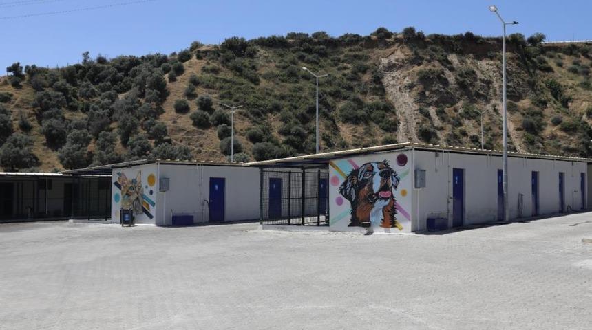 Büyükşehir'den sokak hayvanları için 244 bin metrekarelik yaşam alanı