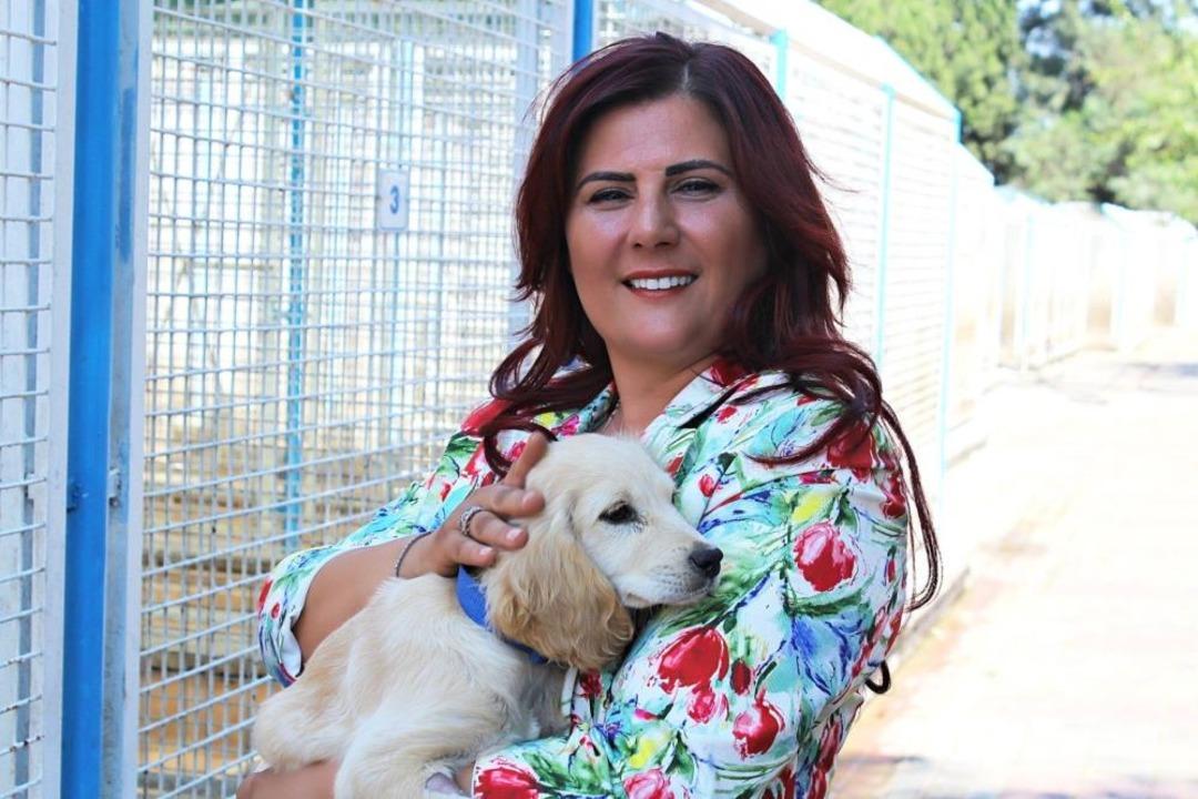 Büyükşehir den sokak hayvanları için 244 bin metrekarelik yaşam alanı 1