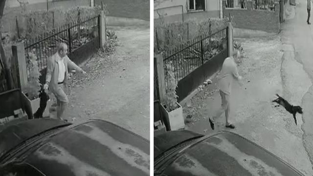 Yavru köpeği kuyruğundan tutup yere fırlattı; o anlar kamerada