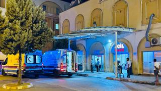 Mardin’de otomobilin çarptığı eşek ile üzerindeki kişi yaralandı