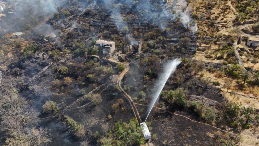 Patlıcan közlerken ormanı yakan şahıs yakalandı: 1 gözaltı 2