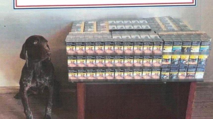 Bolu’da yolcu otobüsünde kaçak sigara ele geçirildi