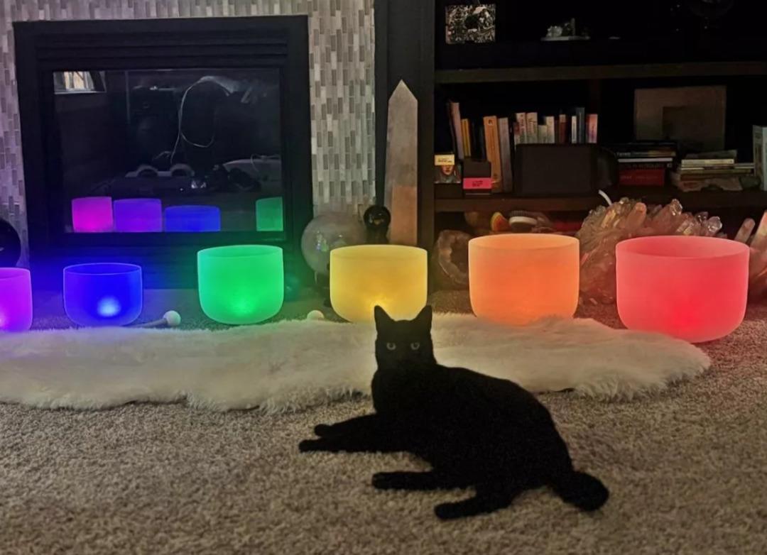 Barınaktan aldığı kedi kahine dönüştü! Her seçtiği kartın anlamı yaşanıyor 1