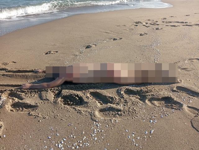 Sakarya’da sahilde çıplak erkek cesedi bulundu 1
