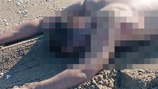 Sakarya’da sahilde çıplak erkek cesedi bulundu