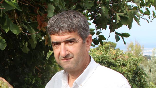 Kasalara doldurup satıyorlar, tüm köyün gelir kaynağı! Raf ömrü de uzun