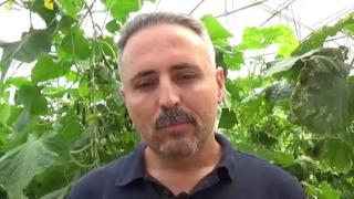 İlçede eksikliği gördü! 10 bin metrekarede kurdu '20 aile evine ekmek götürüyor'