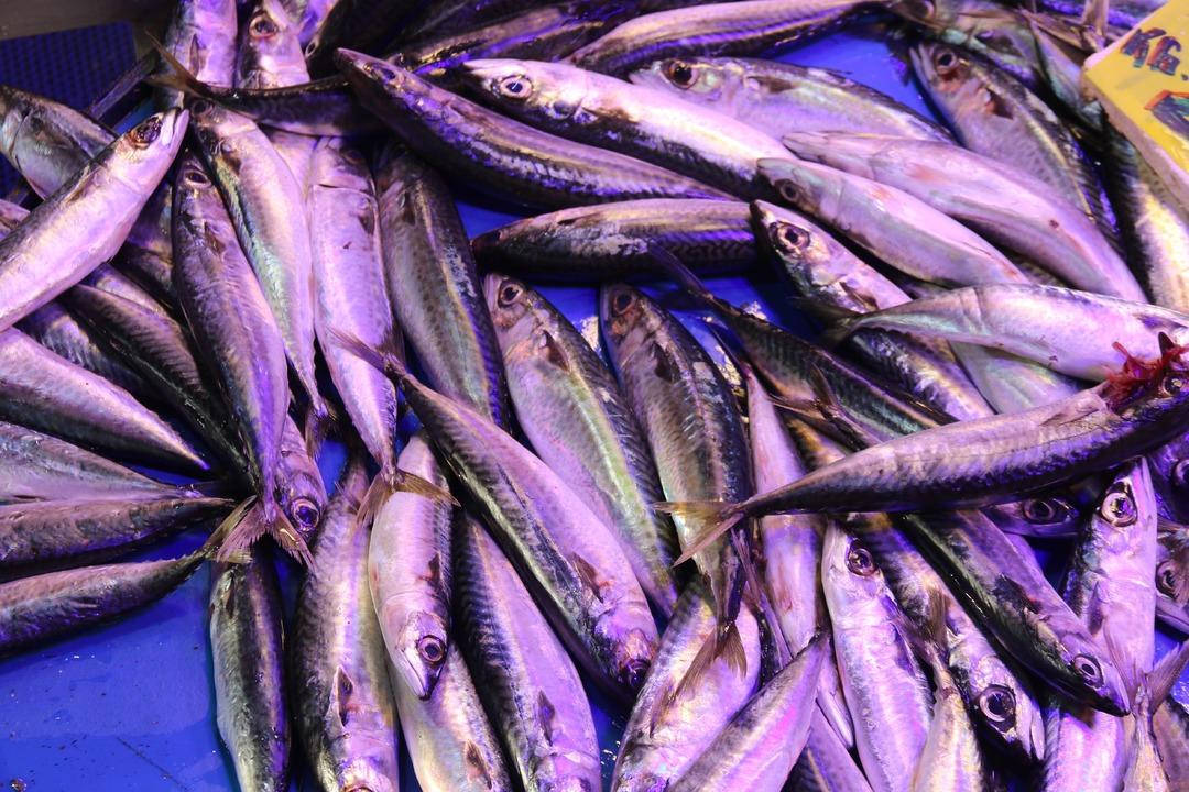 İade etmek istediği balıklarla dövdüler! Parmağını kaybetti 4