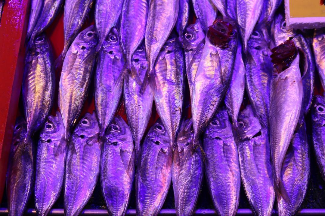 İade etmek istediği balıklarla dövdüler! Parmağını kaybetti 5