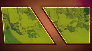 Kamyonun altında kalan yaşlı adam feci şekilde can verdi! Dehşet anları kamerada