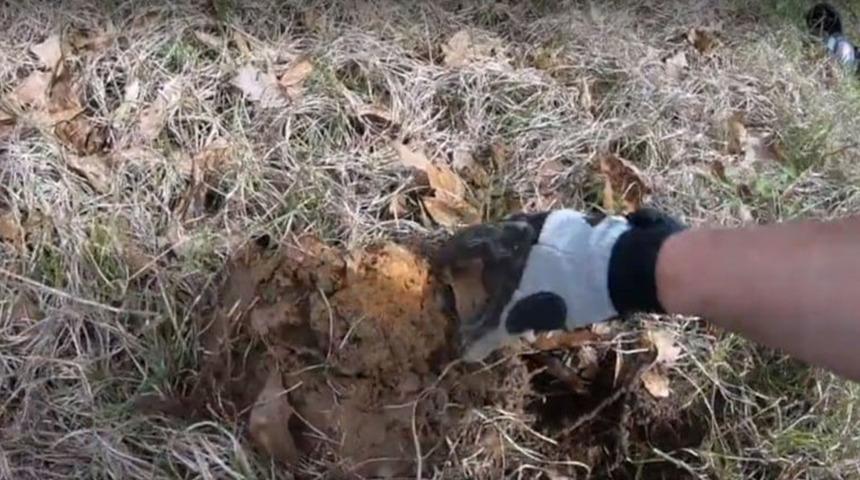 Tarihe geçecek keşif: İnşaatta çalışırken hazine buldu! Tam 700 yıllık