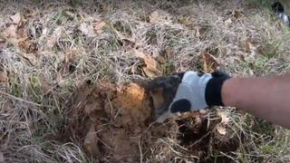 Tarihe geçecek keşif: İnşaatta çalışırken hazine buldu! Tam 700 yıllık