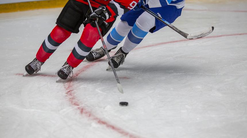 Hokey nedir, çeşitleri nelerdir?