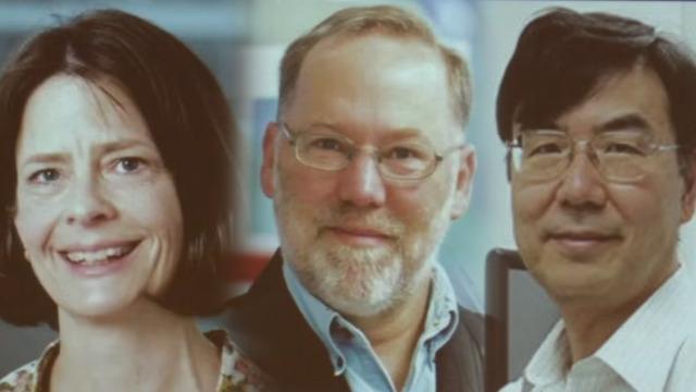 2025 Nobel Tıp Ödülü sahipleri belli oldu! 2025 Nobel Tıp Ödülünü kimler kazandı?