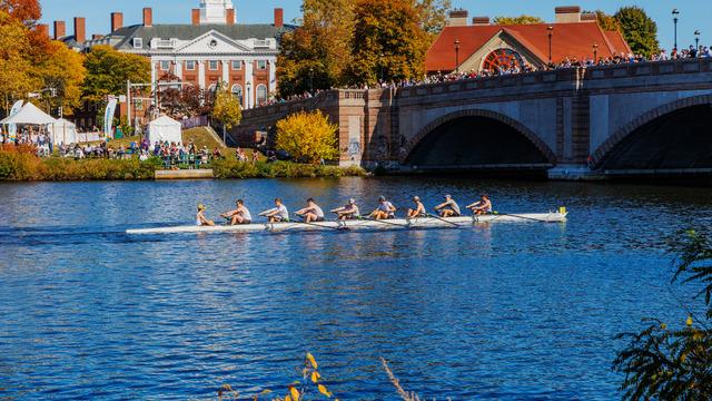 Kürek sporu nedir, nasıl yapılır?
