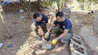 Şanlıurfa’da foseptik çukuruna düşen köpek yavrusu kurtarıldı