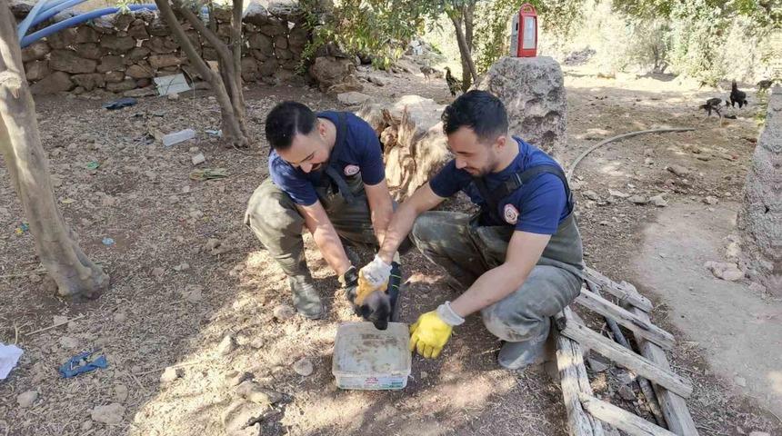 Şanlıurfa’da foseptik çukuruna düşen köpek yavrusu kurtarıldı
