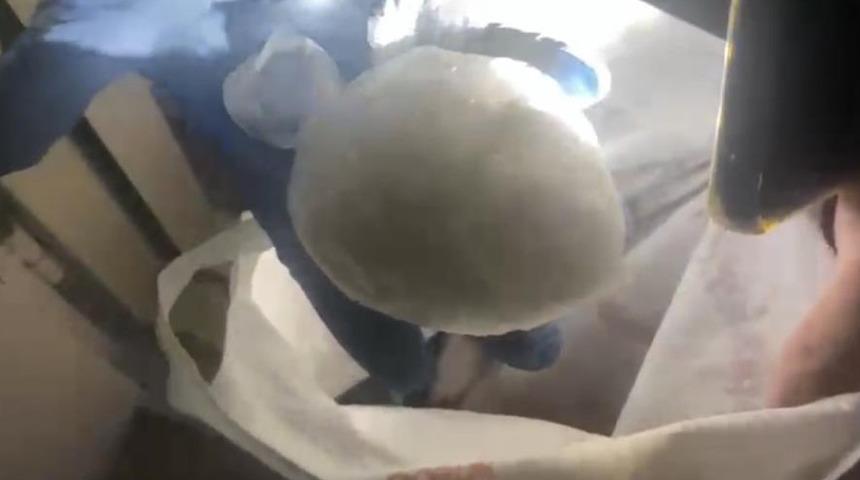 Samsun'da uyuşturucu operasyonu! Gözaltın alındı