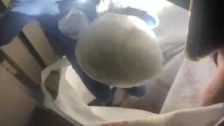 Samsun'da uyuşturucu operasyonu! Gözaltın alındı