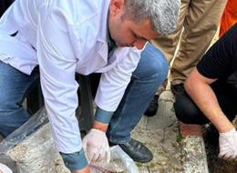 Yer: Adana cezaevi, kilosu 15 bin TL! 'Denemek için başladık' Toz halinde tüketiliyor