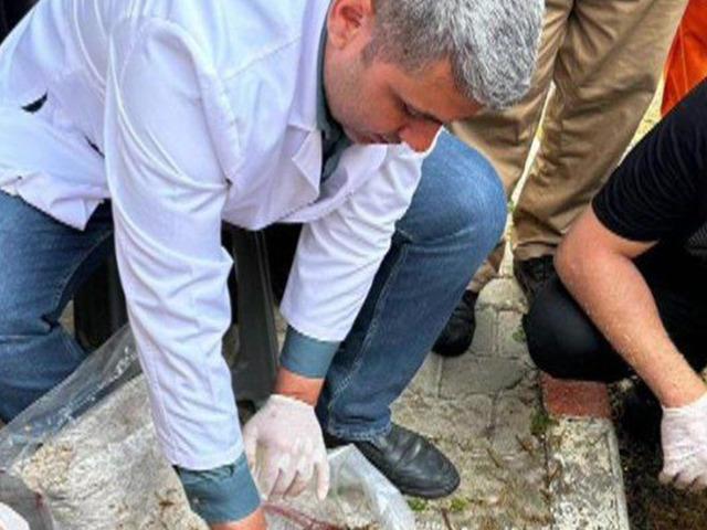 Yer: Adana cezaevi, kilosu 15 bin TL!