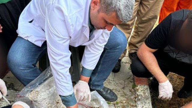 Yer: Adana cezaevi, kilosu 15 bin TL! 'Denemek için başladık' Toz halinde tüketiliyor