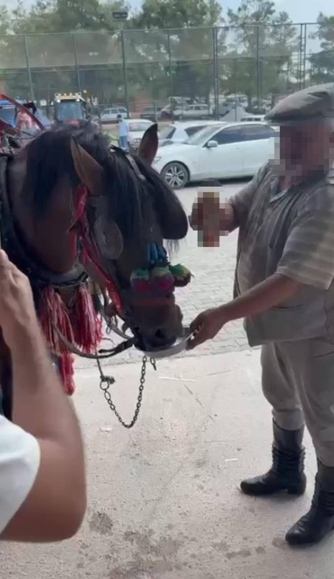 Bu sefer sürücü değil at: Sünnet çocuğunu gezdirecekti alkol bağımlısı çıktı! 1