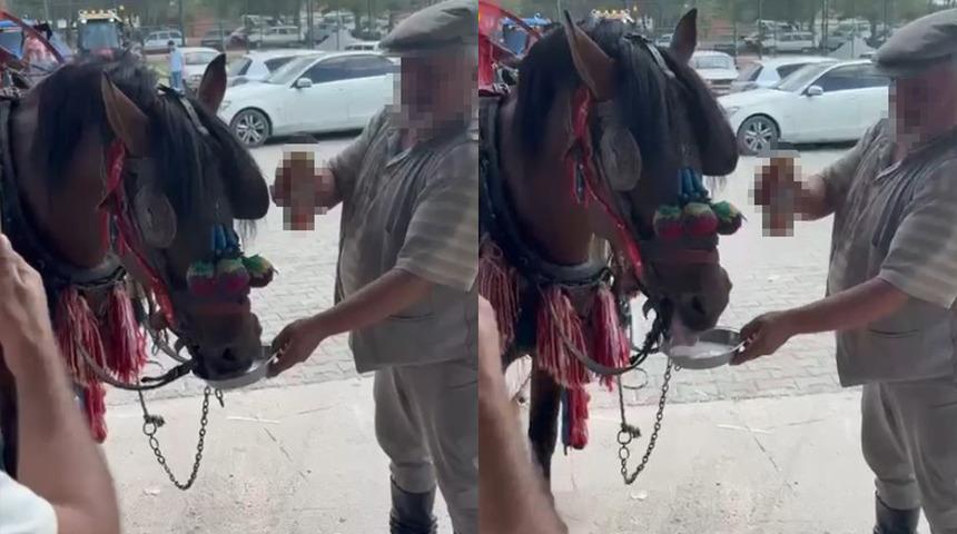 Bu sefer sürücü değil at: Sünnet çocuğunu gezdirecekti alkol bağımlısı çıktı!