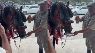 Bu sefer sürücü değil at: Sünnet çocuğunu gezdirecekti alkol bağımlısı çıktı!