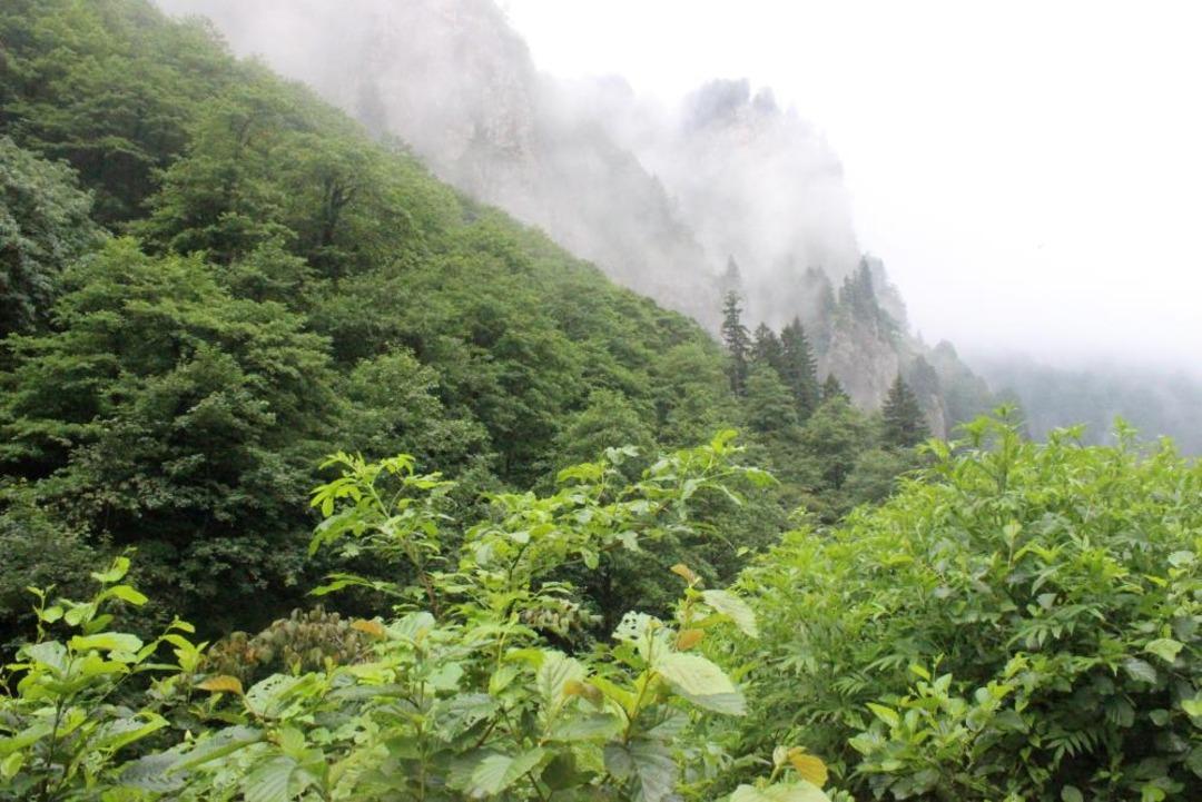 Eşini öldürüp sırra kadem basmıştı! Parçalanmış cesedi bulundu 1
