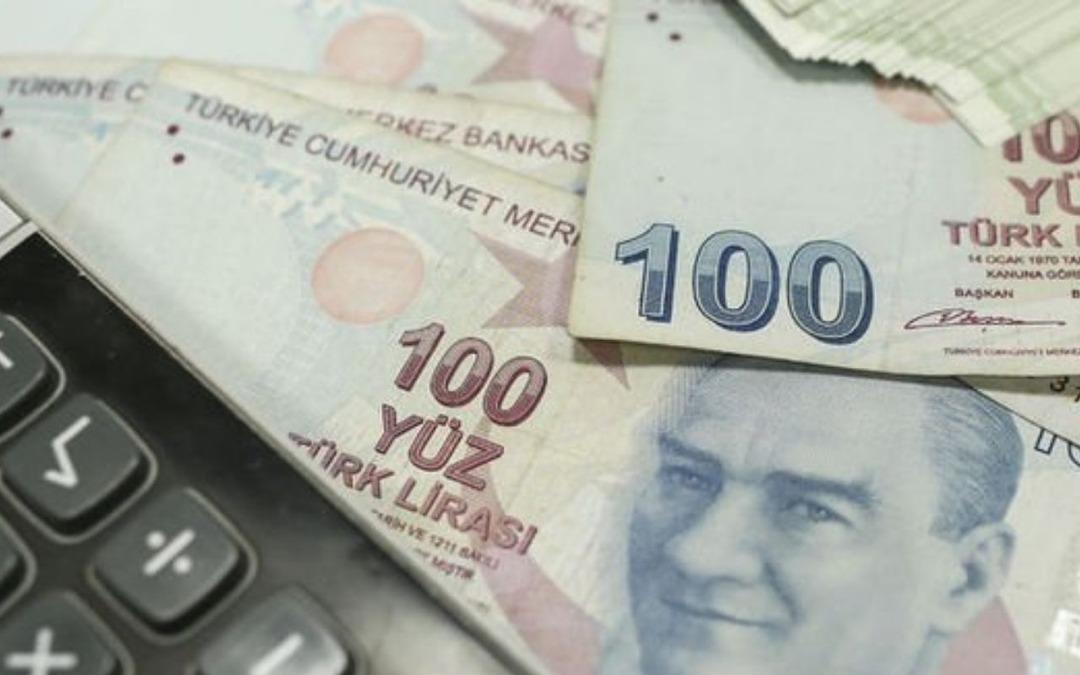 Ekonomist Elgin: “Asgari ücrete yüzde 50 zam yapılmalı” 1