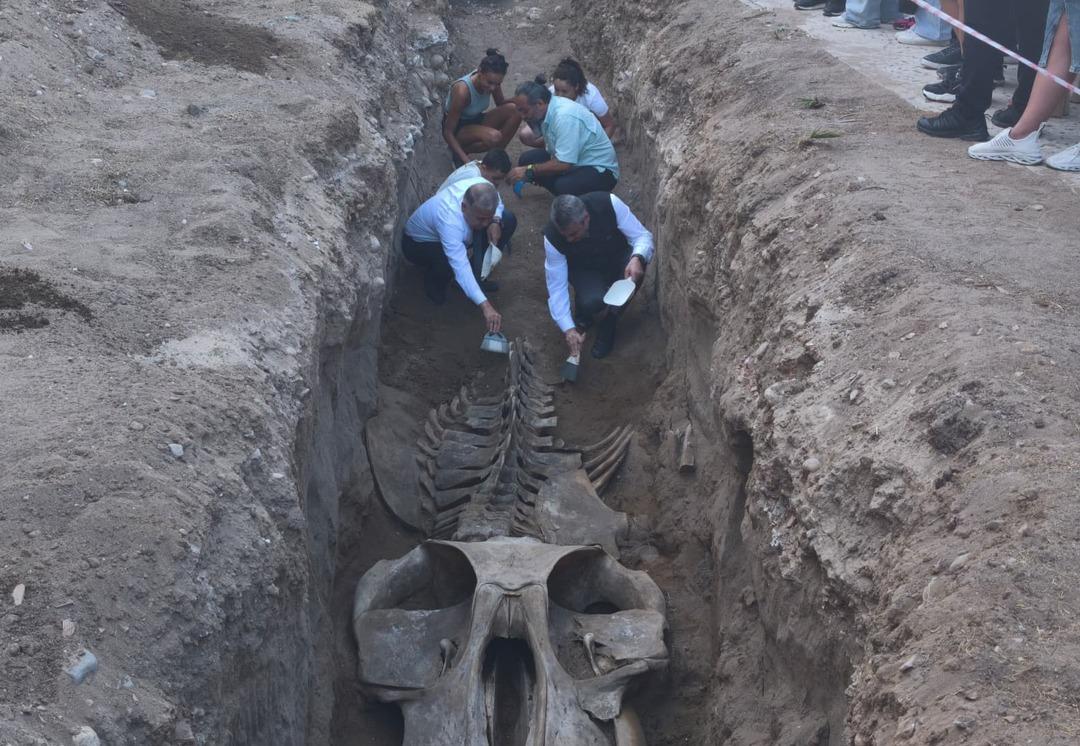 Mersin de 4 yıl önce toprağa gömülmüştü! İskeleti iki gün içinde gün yüzüne çıkacak 3