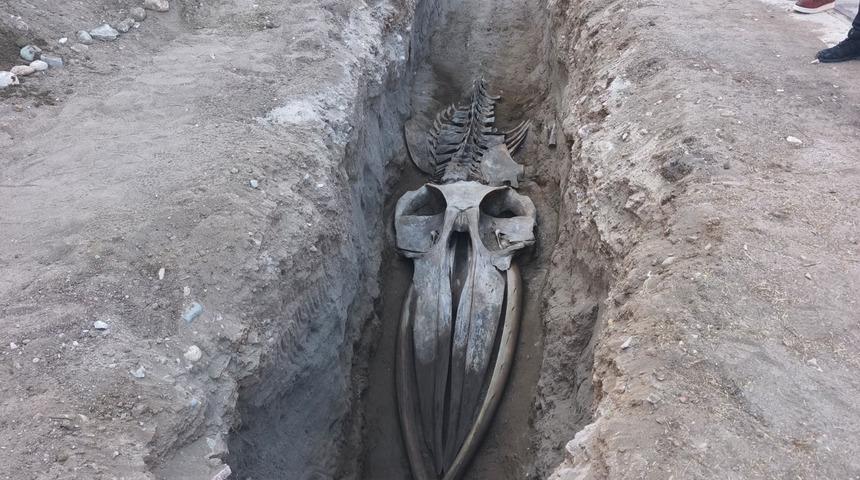 Mersin'de 4 yıl önce toprağa gömülmüştü! İskeleti iki gün içinde gün yüzüne çıkacak