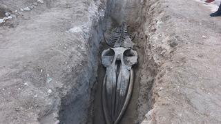 Mersin'de 4 yıl önce toprağa gömülmüştü! İskeleti iki gün içinde gün yüzüne çıkacak