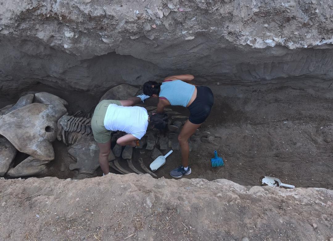 Mersin de 4 yıl önce toprağa gömülmüştü! İskeleti iki gün içinde gün yüzüne çıkacak 1