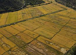 Artık kazandırıyor 'Köylüler olarak 500 bin TL topladık' Herkesin tarlası var, faydalanamıyorlardı