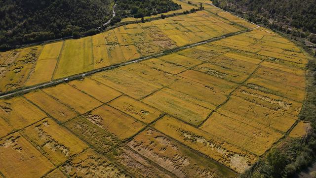 Artık kazandırıyor 'Köylüler olarak 500 bin TL topladık' Herkesin tarlası var, faydalanamıyorlardı