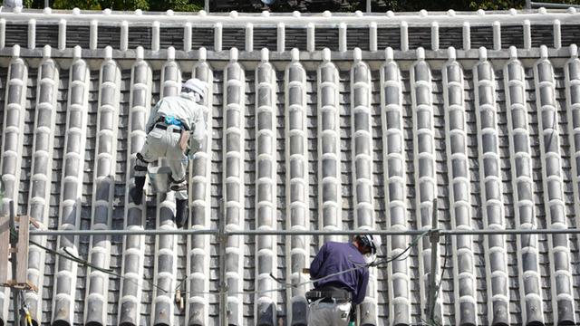 Tüm şehir çatıları aynı renge boyayacak! Nedeni bakın ne...