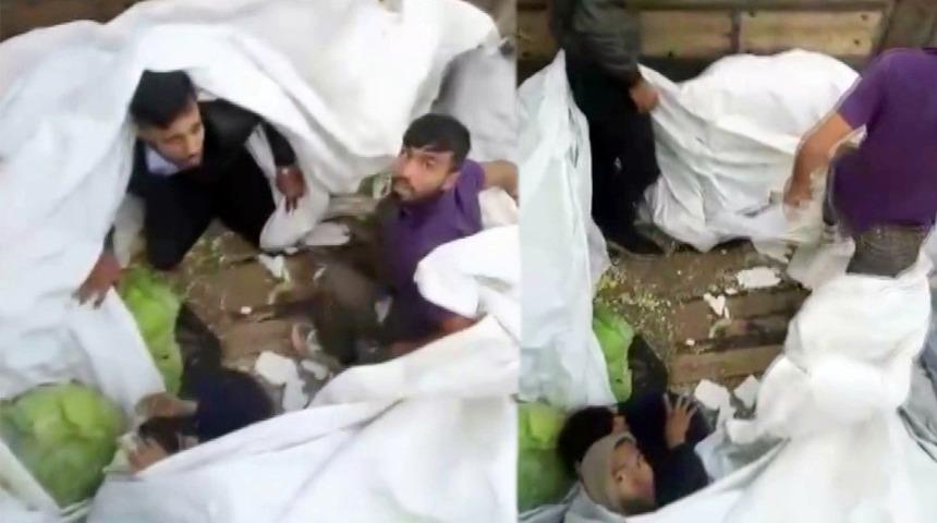 Lahana yüklü tırdan kaçak göçmenler çıktı: Sınır dışı edildiler!