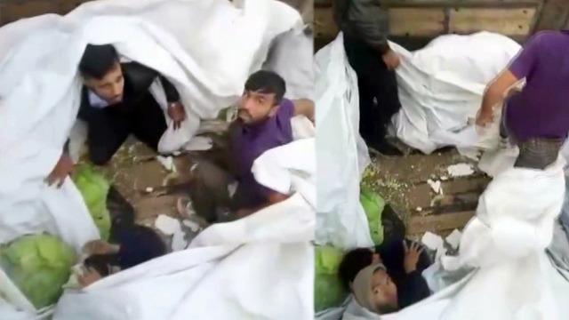 Lahana yüklü tırdan kaçak göçmenler çıktı: Sınır dışı edildiler!